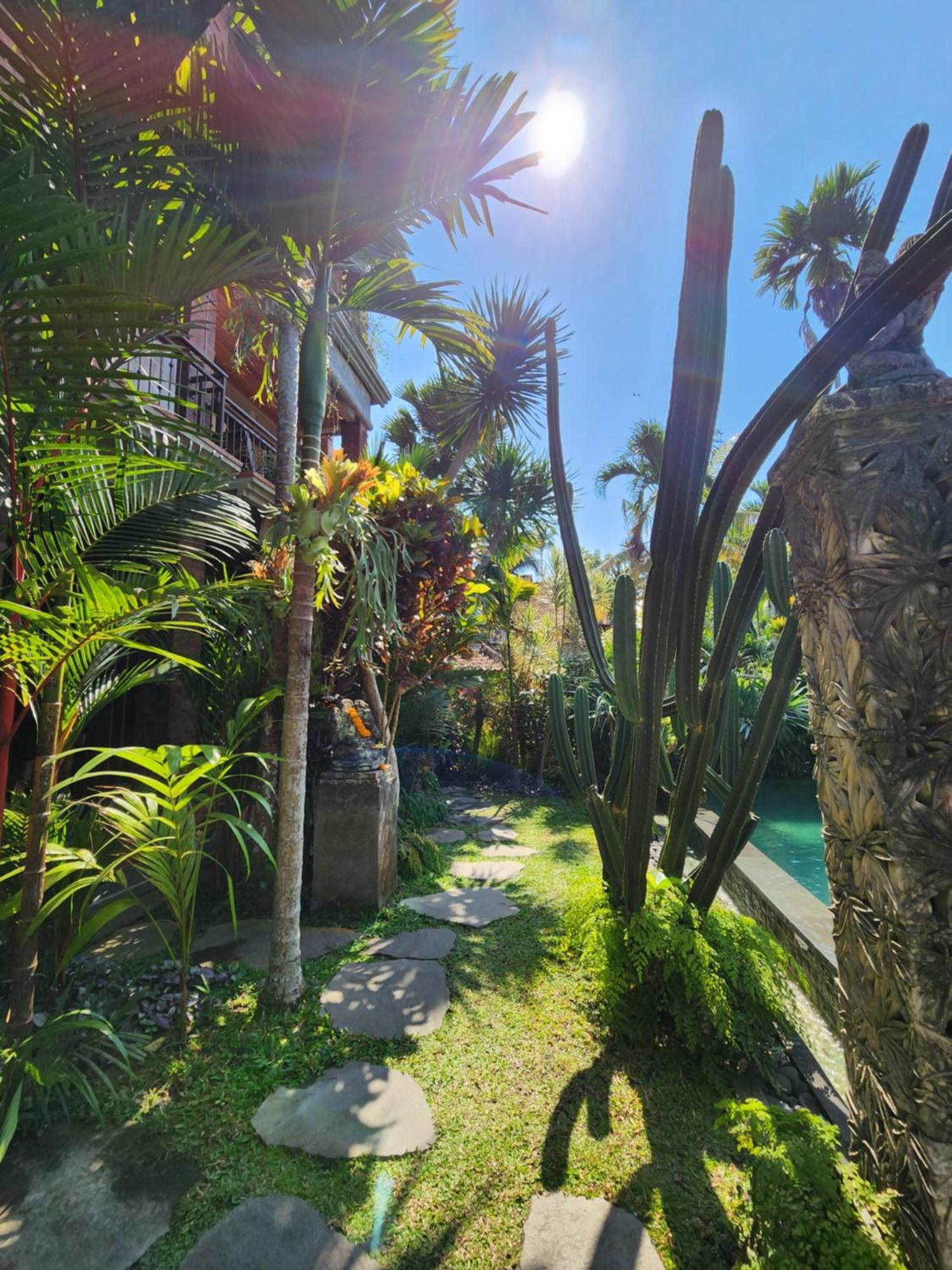 Buda Amitaba Ubud Buitenkant foto