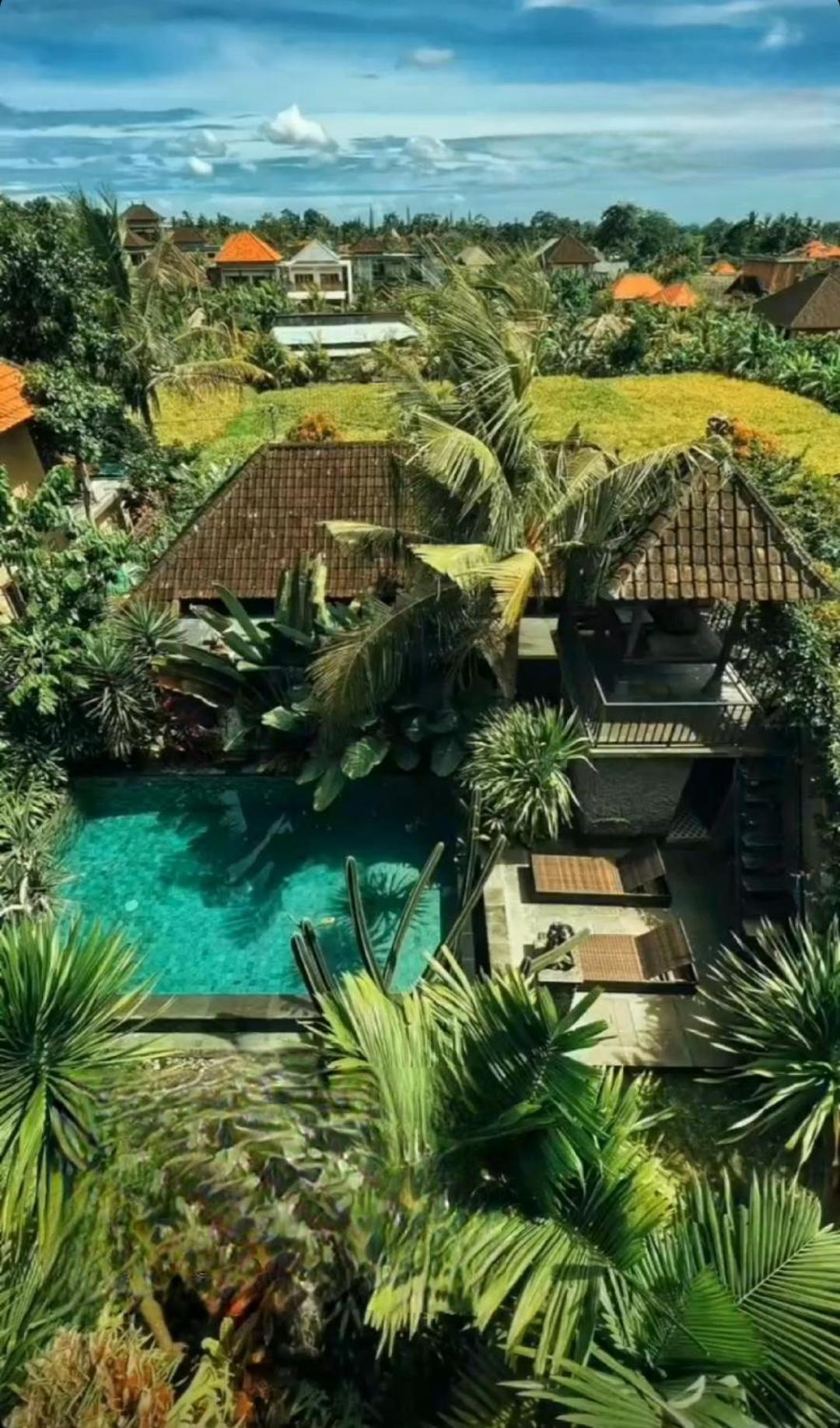 Buda Amitaba Ubud Buitenkant foto